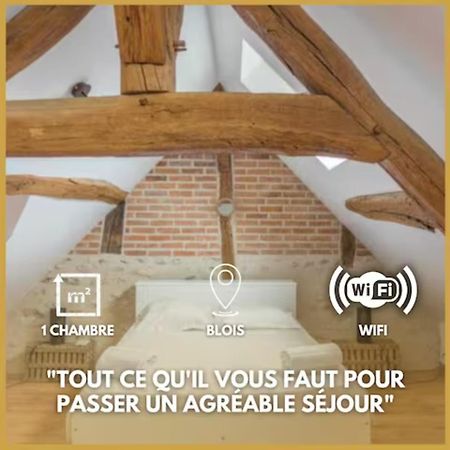 Duplex Joliblois Blois Exterior photo